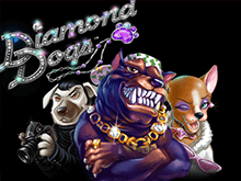 Игровой автомат Diamond Dogs: играть бесплатно